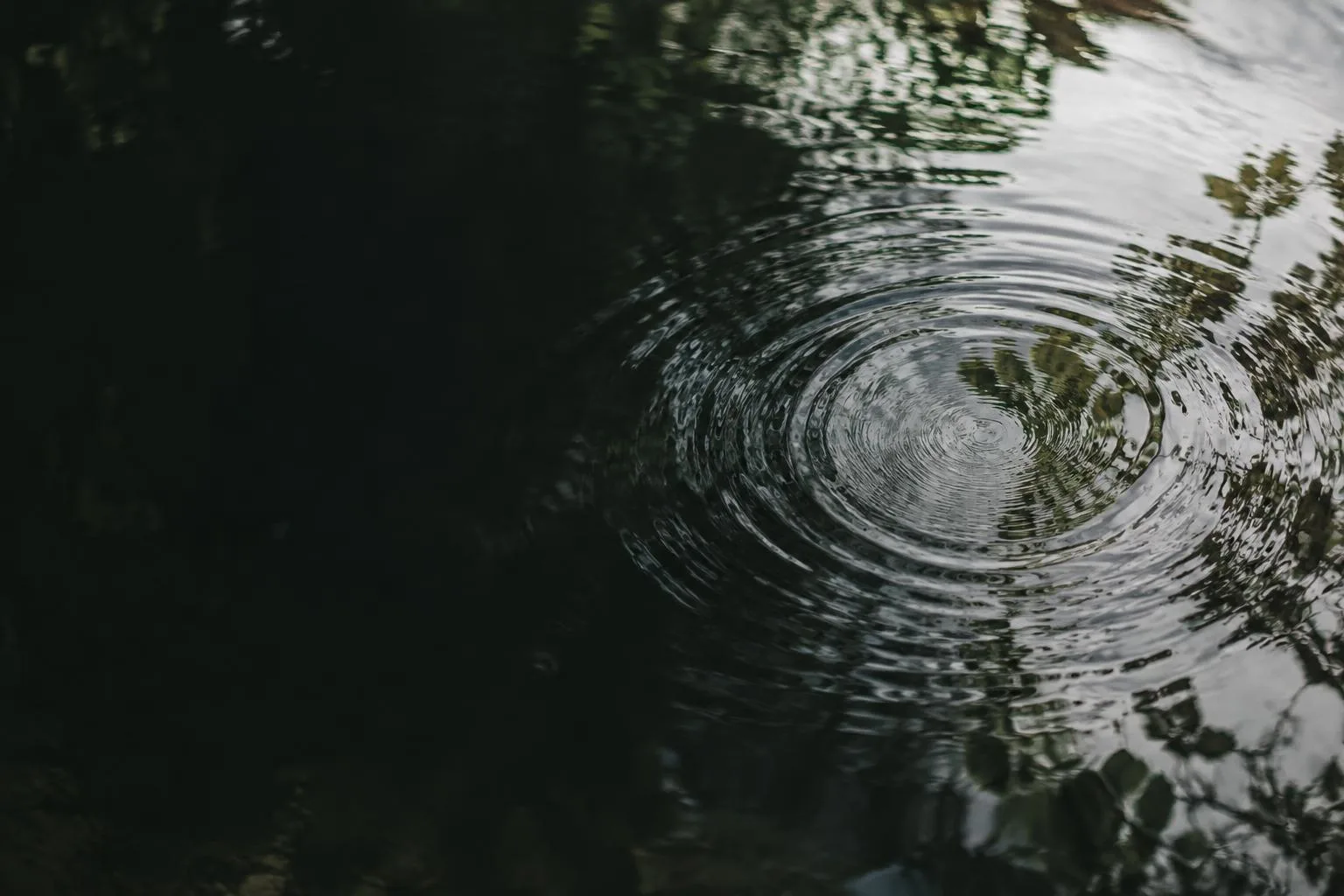 Quiet ripples and natural reflections on still water