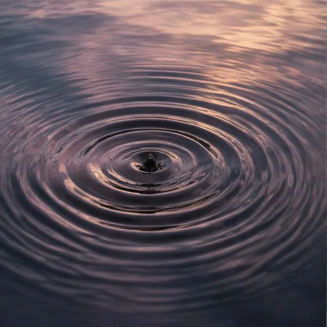 Soft concentric ripples in dusk water