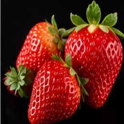 Strawberries photographed on black